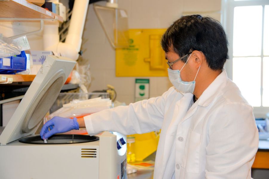 Researcher in action